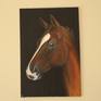 Acrylic painting depicting a chestnut dressage horse on a black background.