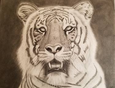 Original Portraiture Animal Drawings by Ja'Quay Jones