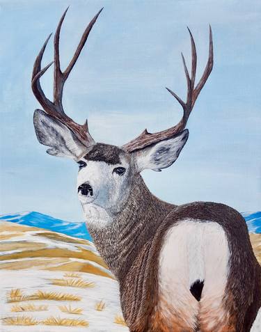 Original Animal Paintings by Brian Sloan