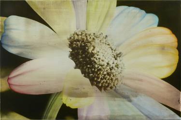 Print of Floral Paintings by Atelier Coolpool