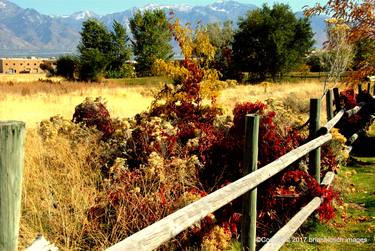 Fence  Line in Fall - Limited Edition 1 of 500 thumb