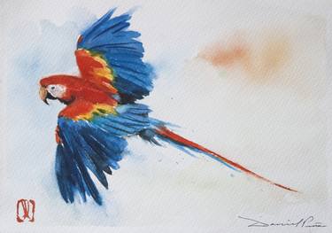 Guacamayo Rojo y Azul en Vuelo thumb