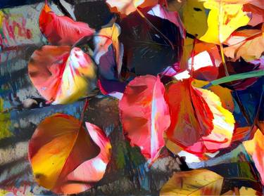 Autumn Leaves Begin to Fall - Limited Edition 1 of 10 thumb