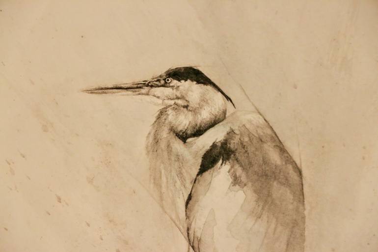 Original Documentary Animal Drawing by Trent Brunelle