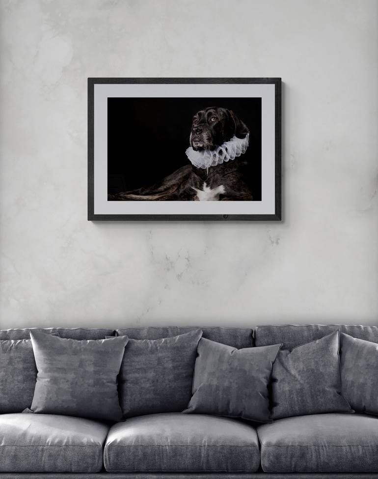 Original Baroque Animal Photography by Maria Rosenblatt