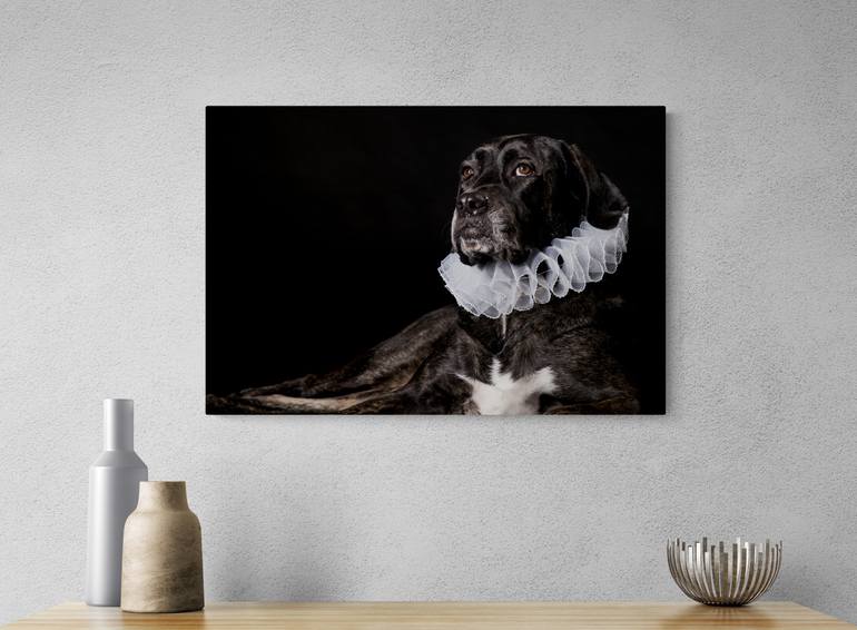 Original Baroque Animal Photography by Maria Rosenblatt