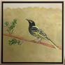 Regents Honeyeater Painting by Robert Rogers | Saatchi Art