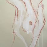 Collection Drawings 