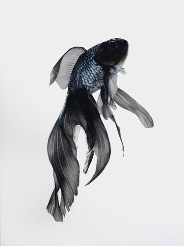 Print of Photorealism Fish Drawings by Jules Draws