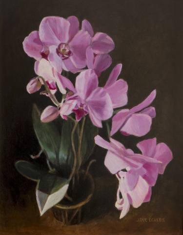 Print of Fine Art Floral Paintings by Jane Eckles