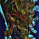 J'arrive by Richard Chenier