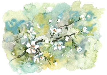 The blossom cherry. Watercolor. thumb