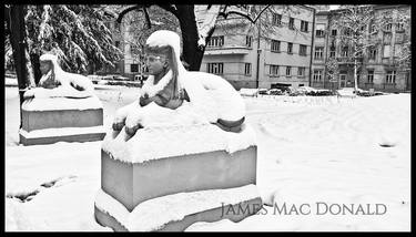 Print of Seasons Photography by James Mac Donald