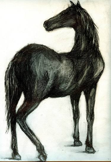 Black horse thumb