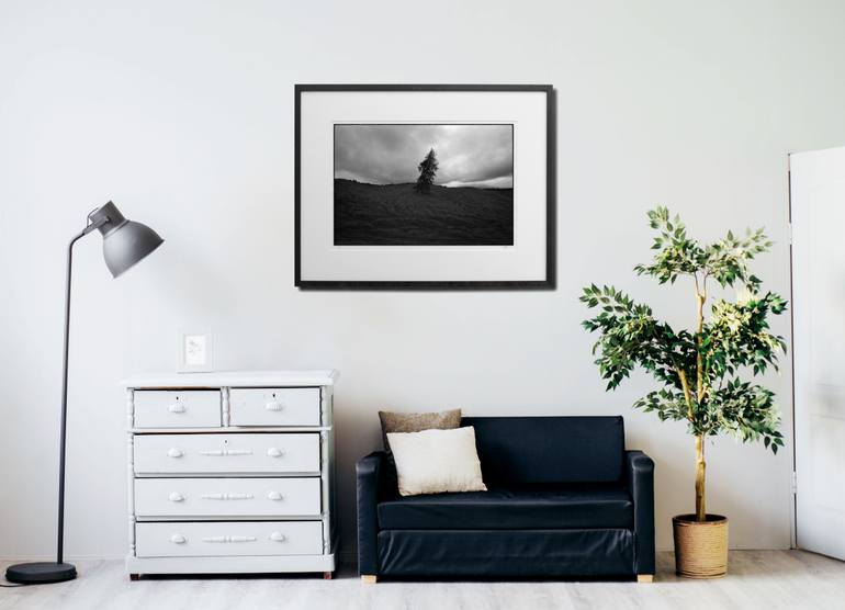 Original Other Landscape Photography by Damian Seagar