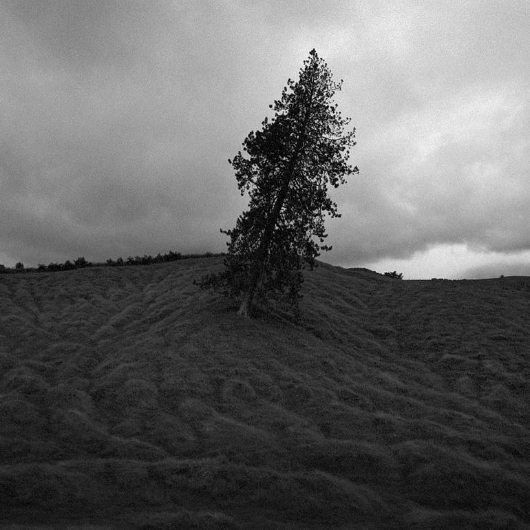 Original Other Landscape Photography by Damian Seagar