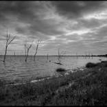 Lake Brewster #1 by Damian Seagar