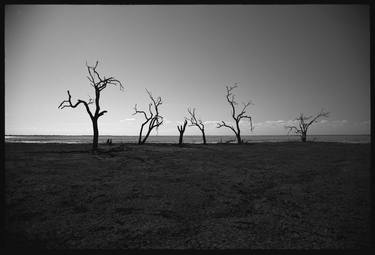 Lake Menindee #1 thumb