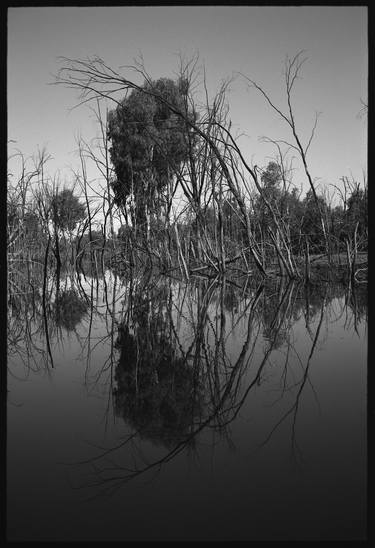 Lake Menindee Reflection thumb