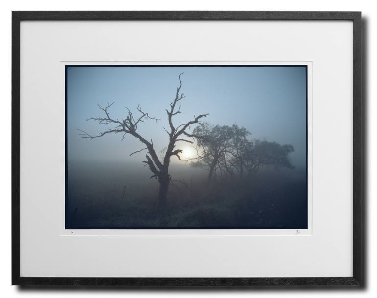 Original Fine Art Landscape Photography by Damian Seagar