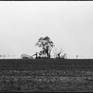 view additional image 1
