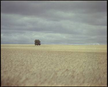 Between the Clouds and the Grass thumb