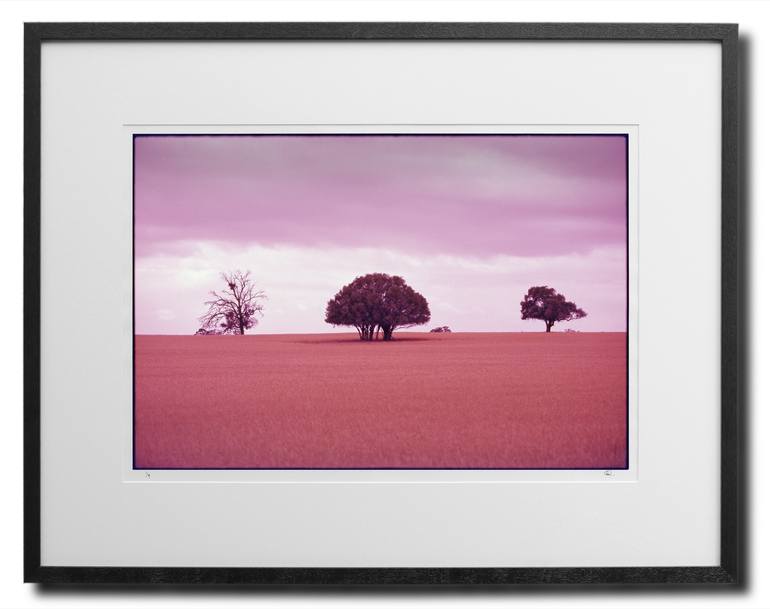 Original Fine Art Landscape Photography by Damian Seagar