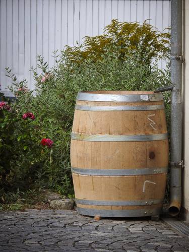 Old big wooden rain barrel in the garden thumb