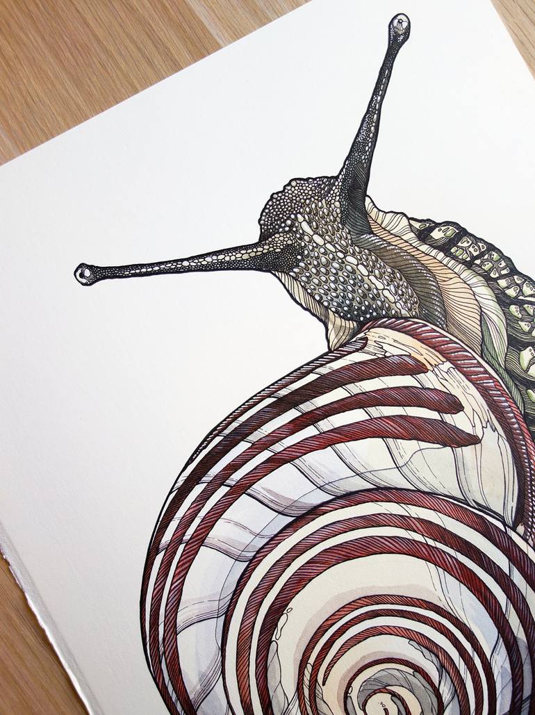 Original Figurative Animal Drawing by Irene Meniconi