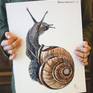 Snail 02 - Watercolor and ink on 100% cotton paper, 460 gr.