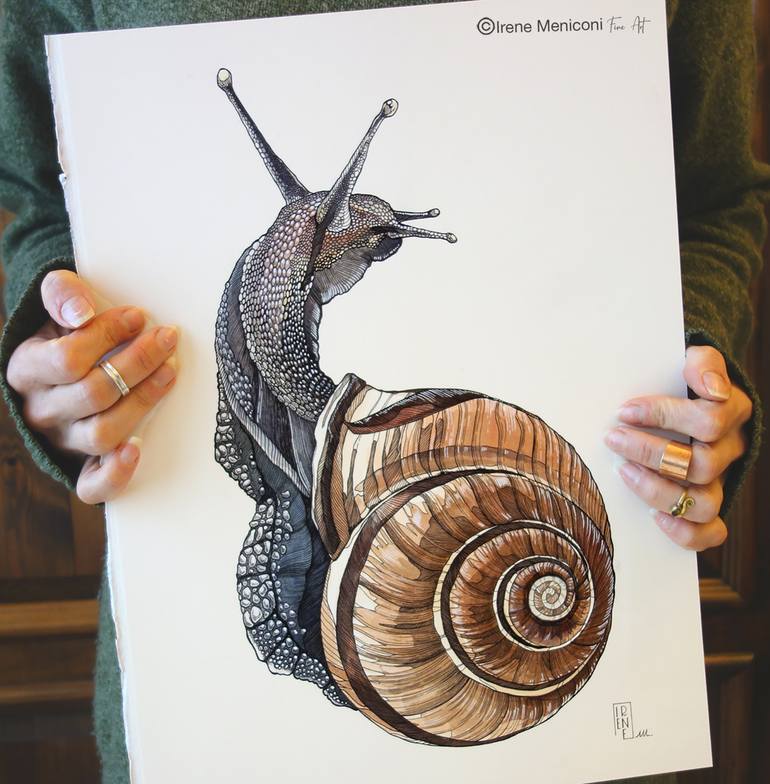 Original Documentary Animal Drawing by Irene Meniconi