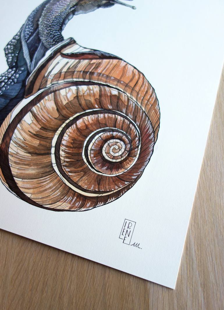 Original Animal Drawing by Irene Meniconi