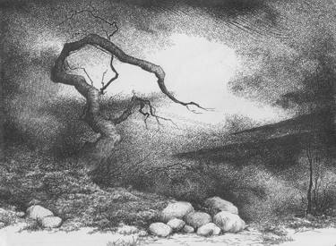 Print of Tree Printmaking by Henriette Heyn Olsen