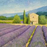 Provence by Eduard Zhaldak