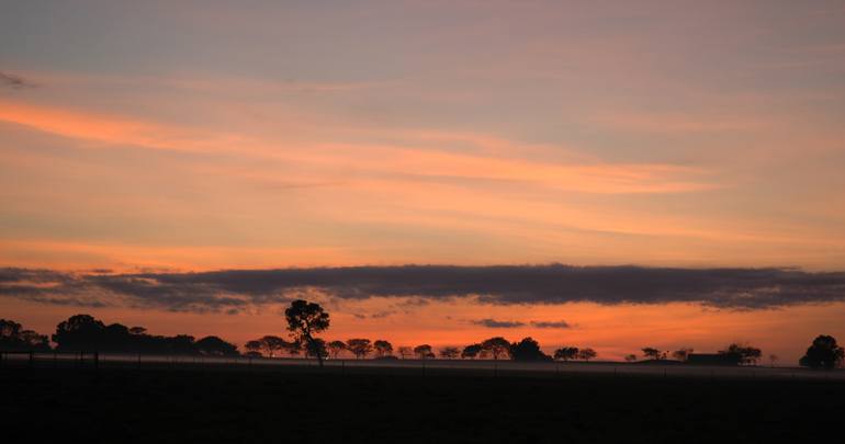 Original Other Nature Photography by Narinder Sall