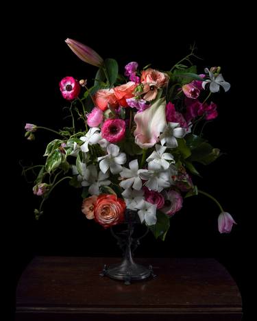 Print of Contemporary Still Life Photography by Heather Allison