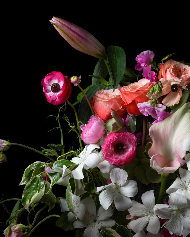 Original Contemporary Still Life Photography by Heather Allison