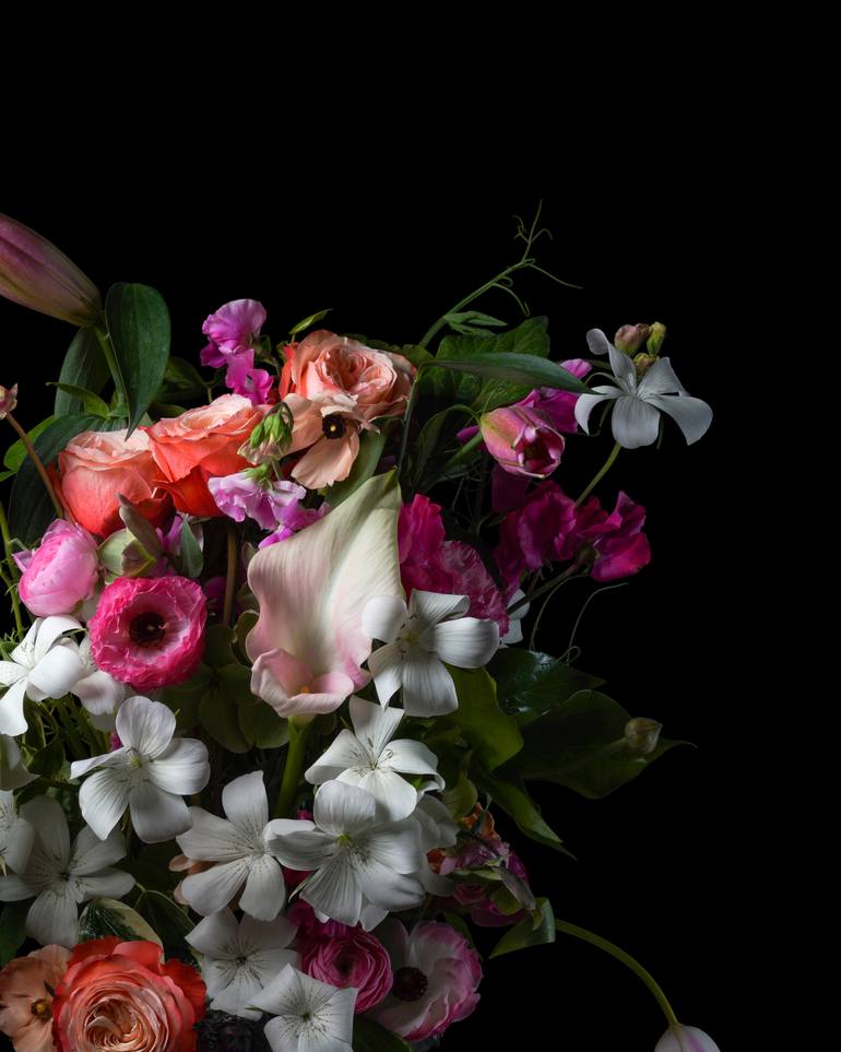 Original Contemporary Still Life Photography by Heather Allison