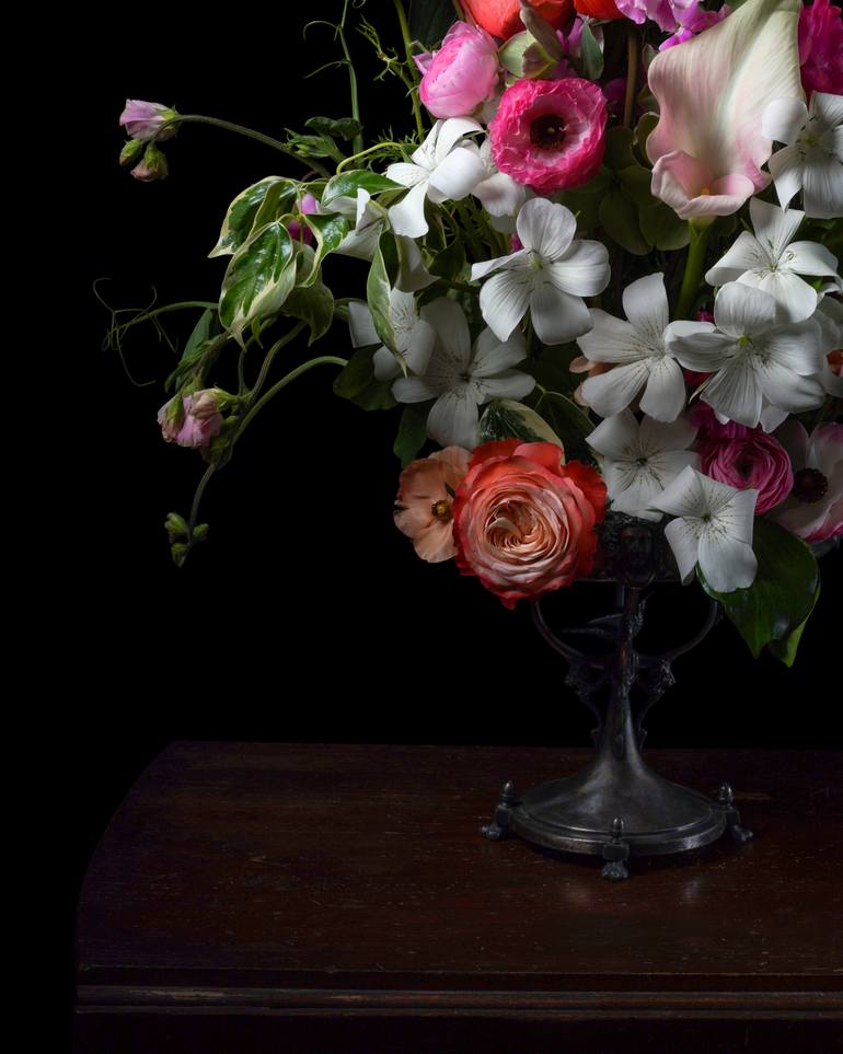 Original Contemporary Still Life Photography by Heather Allison