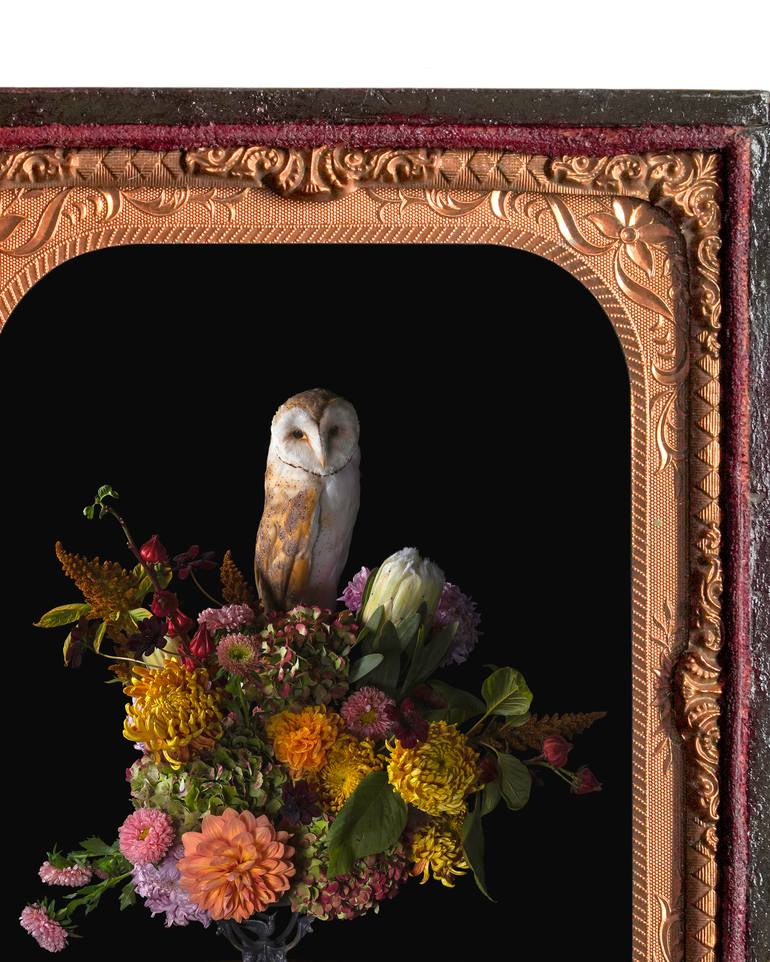 Original Contemporary Still Life Photography by Heather Allison