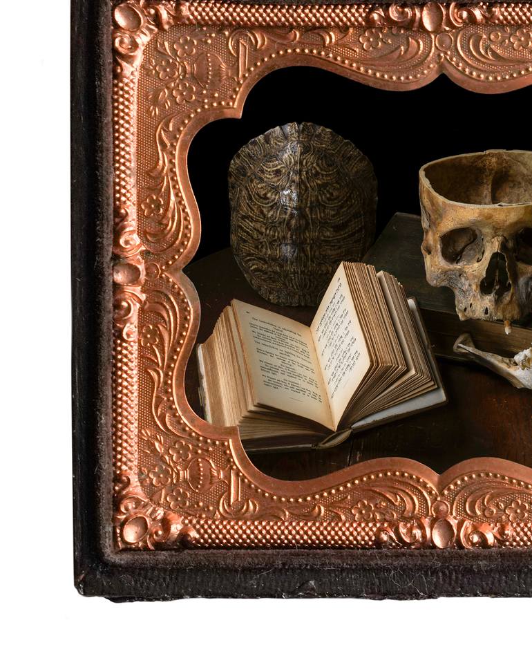 Original Contemporary Still Life Photography by Heather Allison