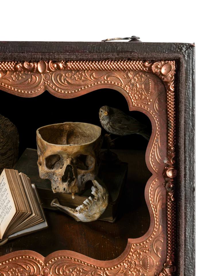 Original Contemporary Still Life Photography by Heather Allison