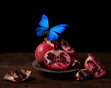 Original Contemporary Still Life Photography by Heather Allison