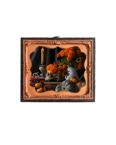 Original Contemporary Still Life Photography by Heather Allison