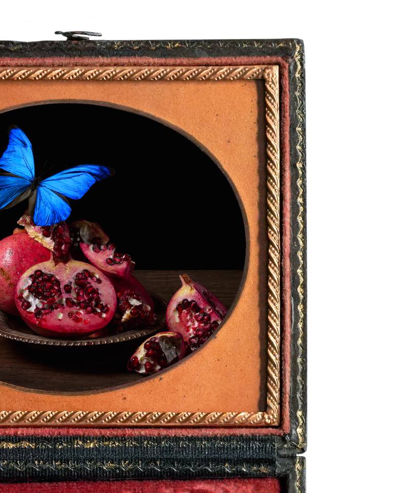 Original Contemporary Still Life Photography by Heather Allison