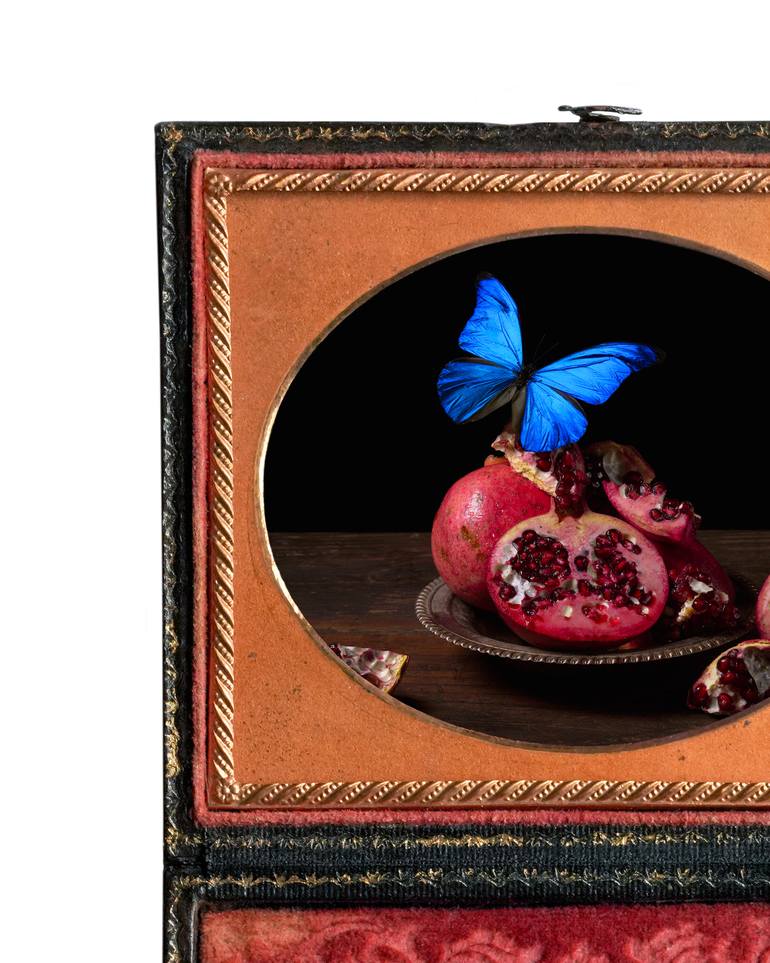 Original Contemporary Still Life Photography by Heather Allison
