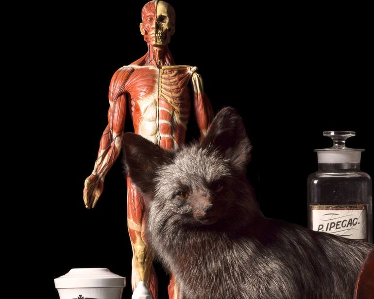 Original Contemporary Still Life Photography by Heather Allison