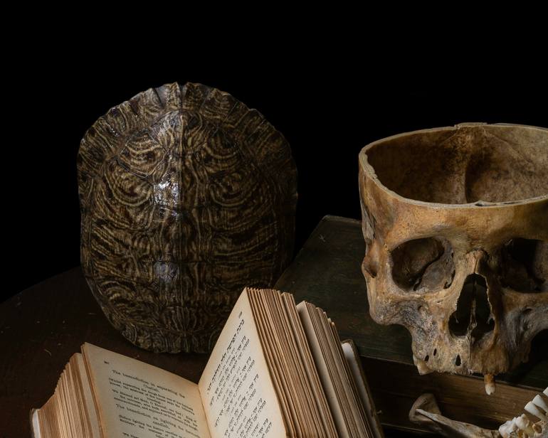 Original Fine Art Still Life Photography by Heather Allison