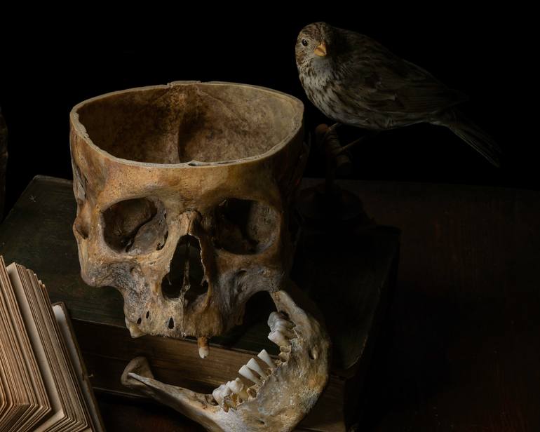 Original Fine Art Still Life Photography by Heather Allison