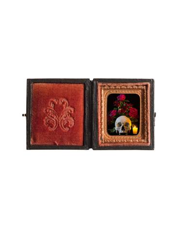 Original Contemporary Still Life Photography by Heather Allison